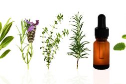 essential-oils-in-beauty