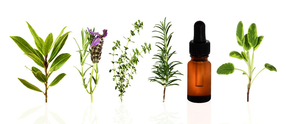 essential-oils-in-beauty